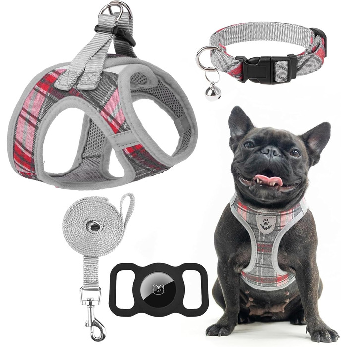 EXPAWLORER Нашийник та поводок для собак - нашийник для середніх собак - класичний в'язаний нашийник для собак, не тягне, регульований, не вислизається для прогулянок на відкритому повітрі (XS (Нашийник: 20-30см, Обхват грудей: 33-36.8см), Сірий)