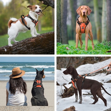 Шлейка для маленьких собак без тиску HUGGY DOGGY, розмір S