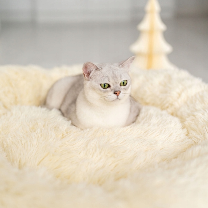 М'яке лежак-ліжечко для собак Legowiska, бежевий, 50 x 50 см