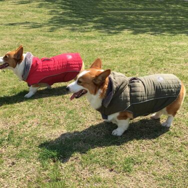 Зимова куртка для собак, теплий пуховик-мантія для тварин, костюм для лижного спорту, тепла жилетка з капюшоном, розмір M (43-53 см), зелений