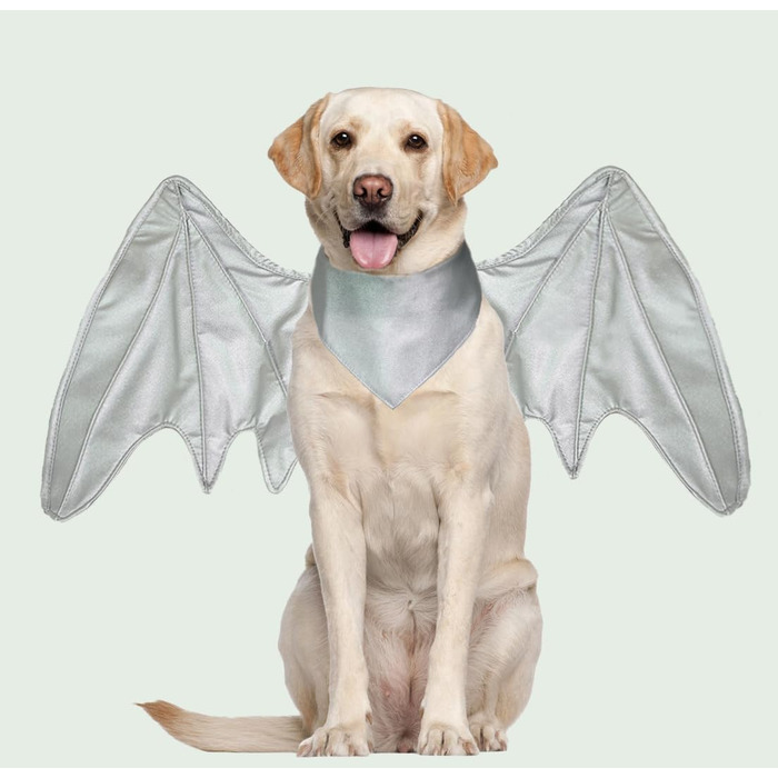 Костюм на Хелловін для собак: кажани, дракони, птахи. Підійде для великих, середніх та маленьких собак. (Чорні крила кажана, срібні крила дракона)