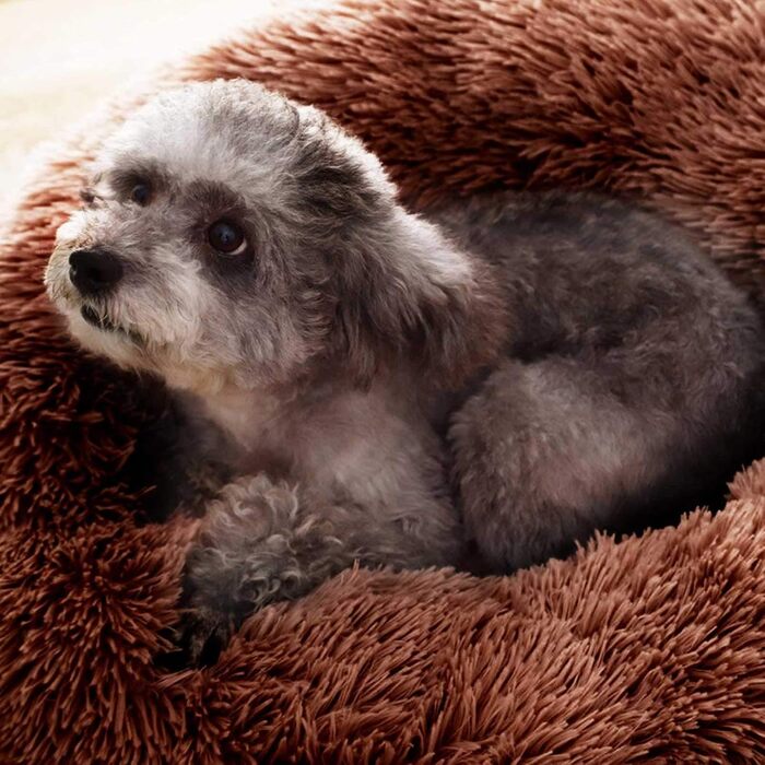 М'яке ліжко для собак та котів PETCUTE - кругленьке, мите, коричневе