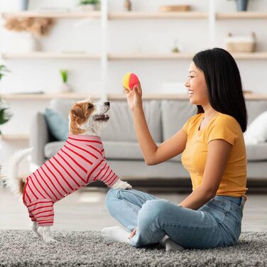 Піжама для собак після операції Kuoser, для собак малих та середніх порід (XL, червоний)