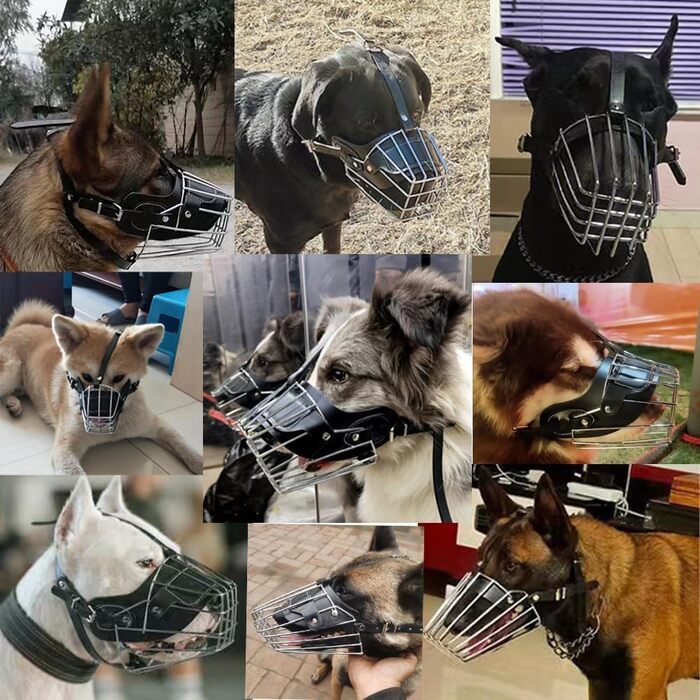 ЗакаБокс Намордник для собак середніх та великих порід - металевий, шкіряний, регульований, зручний, довговічний, запобігає гризінню та укусам