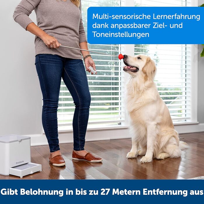 PetSafe Teach & Treat – дистанційний тренер для собак, автоматична видача ласощів, для навчання та позитивного підкріплення, сірий, працює від 4 батарейок D