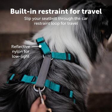 Шлея для собак PetSafe 3-в-1, анти-тягова, з автокріпленням, рефлекторами, ручкою, розмір L, чорна/синя/фіолетова