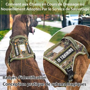 Тактичне облягання для собак HEELE, металеве, MOLLE, камуфляжний зелений (S)