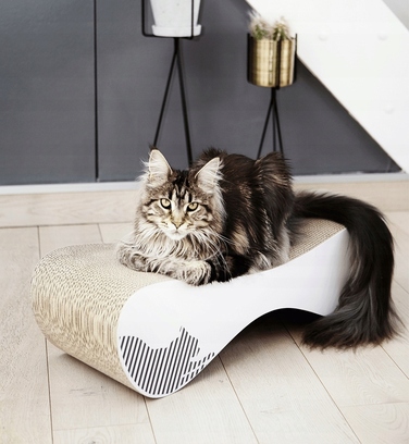 Картонна дряпалка myKotty біла, 71x21x25 см, для кошенят та дорослих котів