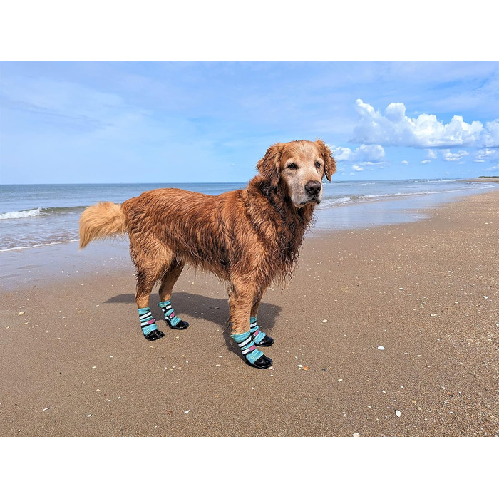 Чоботи для всієї погоди, Неопрен, захист лап, з відбиваючими ременями, 5 розмірів (багатобарвні, розмір M) (XL)