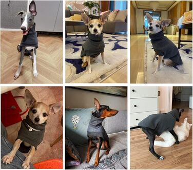 Флісовий теплий нашийник для собак з ніжками, пуловер для Італійських віндхундів, Whippet, Lurcher, Німецької доги, Pharaoh Hound, Bedlington Terrier (Колір: Сірий, Розмір: M) Medium Сірий