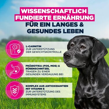 Сухий корм для собак великих порід Eukanuba Senior з куркою, преміум-клас, 15 кг