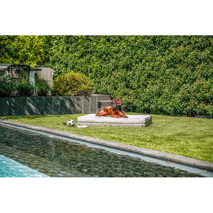 Greemotion лежанка для собак з поліротангу з подушкою, 95 x 15 x 65 см