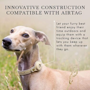 Нашийник для собак NINA WOOF Cupertino з еко-шкіри, сумісний з AirTag, розмір M (15-19 см), шлейки і повідці для собак