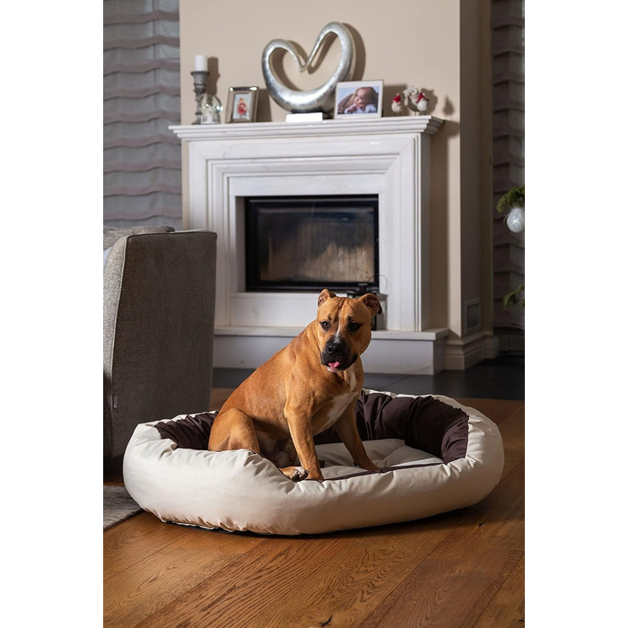 BedDog® Hundebett Sunny: велике овально-кругле лежанка для собак з Cordura, XXXL, RED-WINE (червоний), 150 x 120 x 23 см