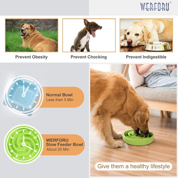 Німецький інтерактивний миска для собак, повільне годування, анти-заковтування, безпечна та довговічна, екологічна (K-grasgrün)