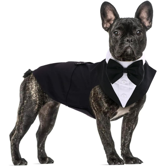 Смокінг для собак середнього та великого розміру, костюм, набір для косплею та свят, елегантний одяг для собак з краваткою та нашийником (Чорний, M: Обхват грудей 42-53 см)