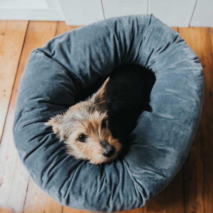 Ліжко для домашніх тварин HUNTER Miranda, сірий антрацит, 50x50 см, м'яке та плюшеве, для собак та котів