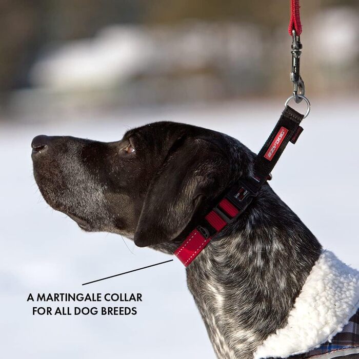 Нашийник для собак EzyDog Checkmate - нашийник-стоппер для собак, навчальний нашийник для дресирування. Підходить для великих, середніх та малих собак (S, чорний)