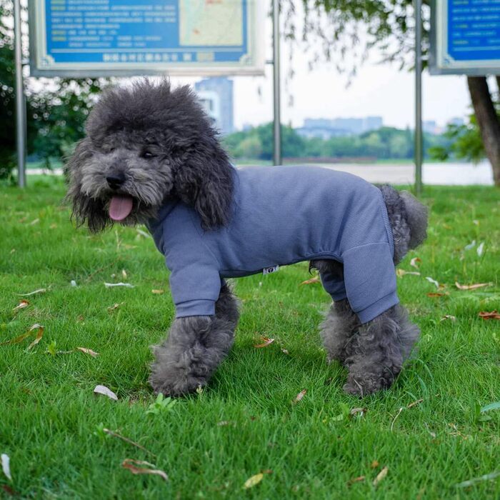 Піжама для собак Lovelonglong, бавовна, трикотаж, 4 лапи, для всіх сезонів, теплий боді для великих, середніх та маленьких собак, колір кава, розмір L (XL для середніх собак), сіро-блакитний