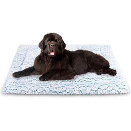 колір: блакитний