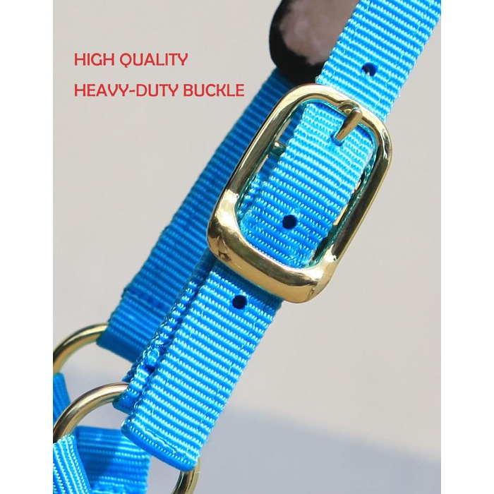 Теке Лонжера з флісовим наповнювачем, повідком та вуздечкою, чорний колір, розмір Cob (M)