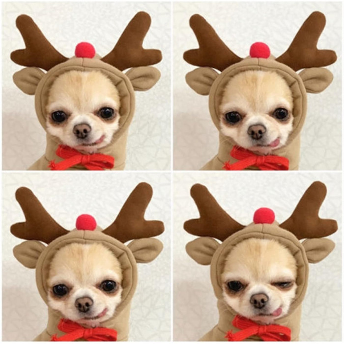 Теплий зимовий одяг для собак, милий халат для собак, толстовка з капюшоном, фліс, костюм для домашніх тварин, куртка для Французького бульдога, Чихуахуа, одяг для собак, колір кава, розмір S