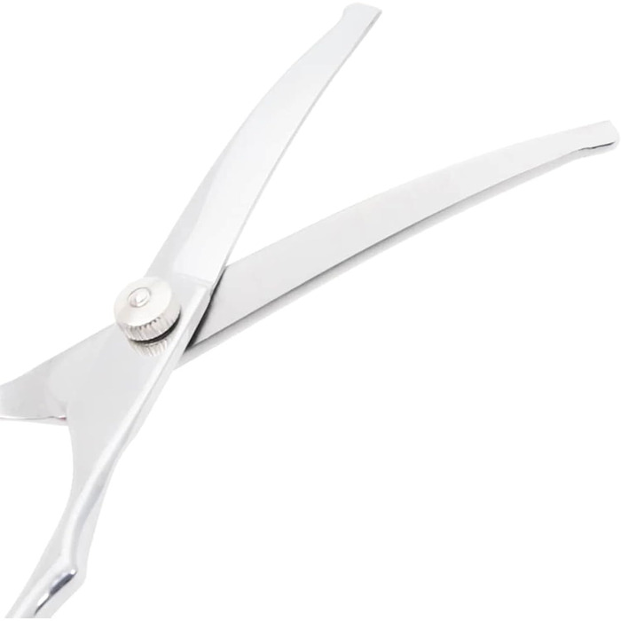 Набір професійних ножиць для собак з нержавіючої сталі - для всіх порід - з ножицями для фінальної обробки, гребінцем та ганчіркою - сріблястий Model4101328