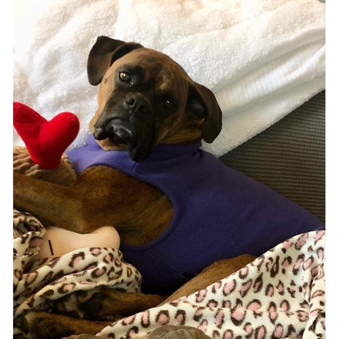 Тепла жилетка Gooby для собак, фліс, розмір 3XL, довжина 52 см