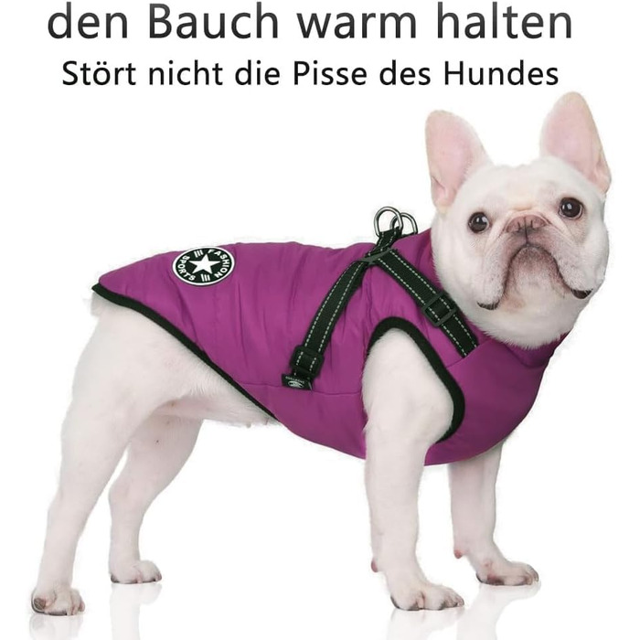 Зимова жилетка для собак, водонепроникний теплий одяг для маленьких собак з D-порогом (зелений, XL)