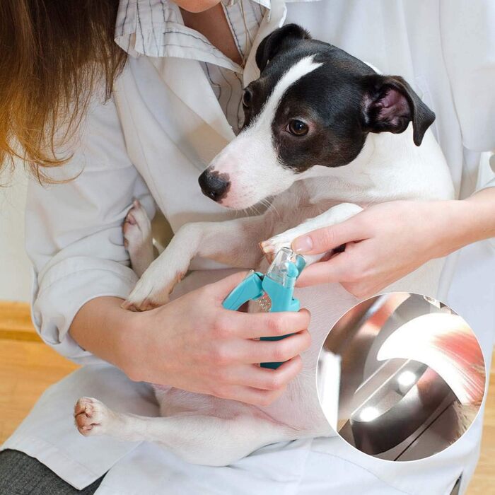 Професійний триммер для догляду за кігтями домашніх тварин з LED-підсвічуванням (для собак та котів)