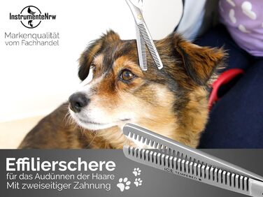 Професійна ножиця для собак, витоншування шерсті, 30 зубців, двостороння, 15.24 см, срібна