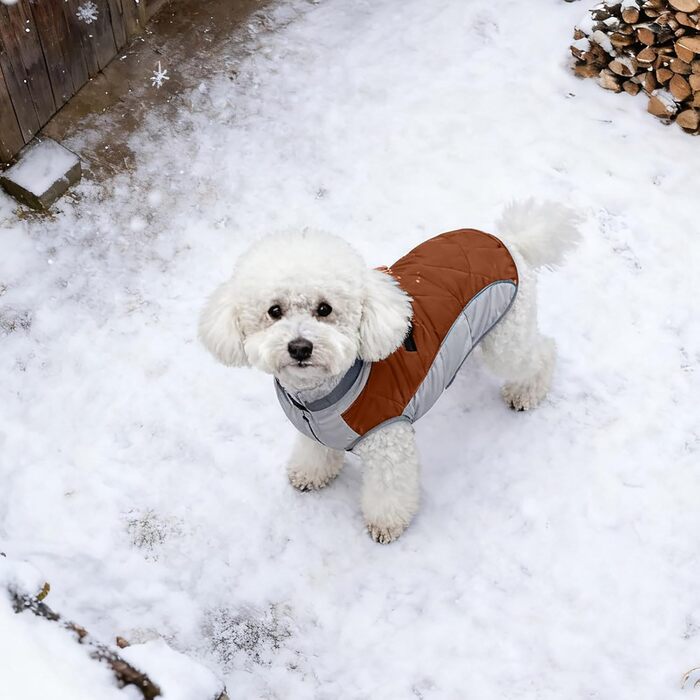 Тепла та стильна куртка для собак: теплий, якісний одяг, вітронепроникна жилетка – ідеальний зимовий одяг для вашого собаки (Sky Blue, ) Hielblau (XS, Brown)