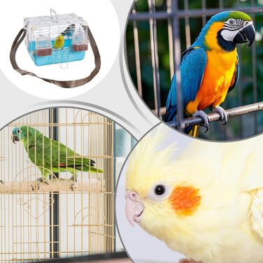 Транспортний бокс для тварин Ceprznvey: переноска-переноска для маленьких тварин, блакитна