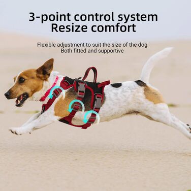 Шлейка для собак LiebeDD, шлейка безпеки для собак, анти-вислизаюча, з м'якою підкладкою, 2 ручки та 2 кліпси для повідка, проти-тягової, для собак середніх та маленьких порід, цуценят (Чорний, S)