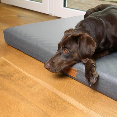 Ваше ліжко для собак GEAR Biella ортопедичне, еко-шкіра, миється, для суглобів, високий рівень комфорту (120x80x10 см)