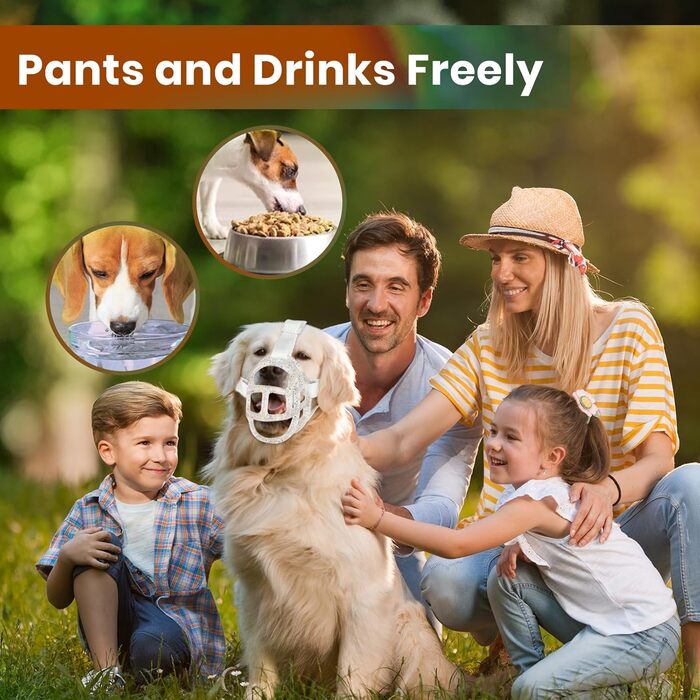 Майорка для собак: кошик-намордник для маленьких, середніх та великих собак. Легкий, дихаючий, запобігає кусанню та жуванню, дозволяє дихати та пити. Ідеально для дресирування, грумінгу. Прозорий, розмір 6