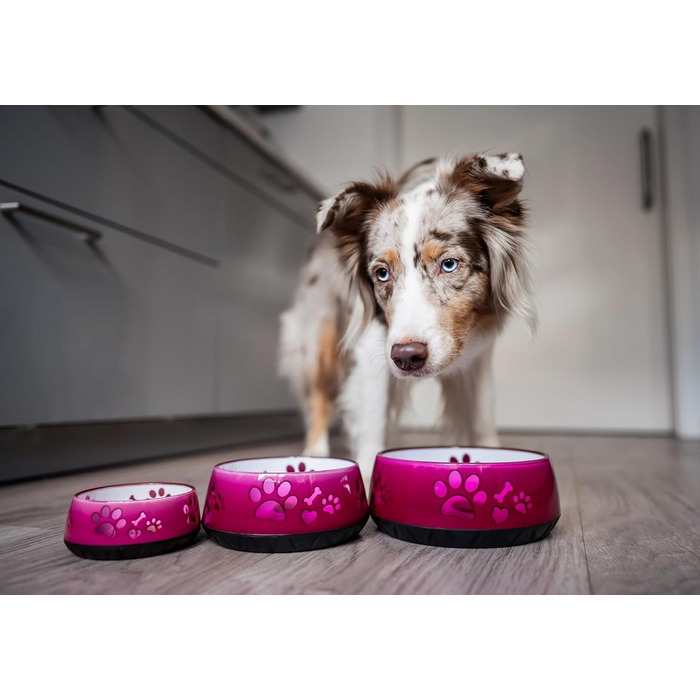 Миска для собак велика та маленька - годівниця/поїлка S/M/L з неслизьким дном (M 1010мл для середніх собак, рожева) M 1010мл (середні собаки) Рожева