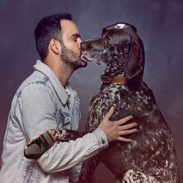 Водонепроникні чоботи для собак 4 шт. з регульованими ремінцями та світловідбиваючими елементами (B, 2)