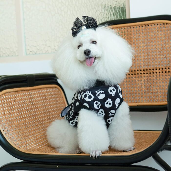 Комбінезон для собак та котів CuteBone Skulls післяопераційний, середній, для захисту ран, SSF05M-DE