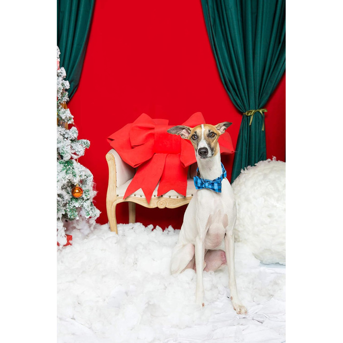 Елегантне нашийник для собак Unique Tyle з знімною метеликом, чорний/блакитний, XX-XL