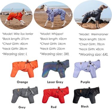 Водонепроникний комплект для собак BT Bear: жилет, дощовик, жилетка, шлейка, 6XL, сірий