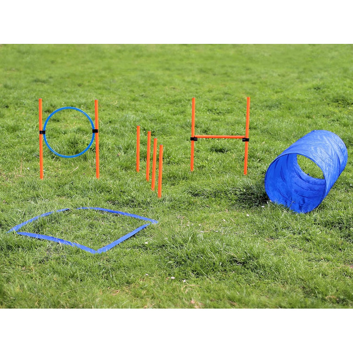 Набір для дресирування собак Vabiono Agility: тунель, обруч, бар'єри, слалом, стійки