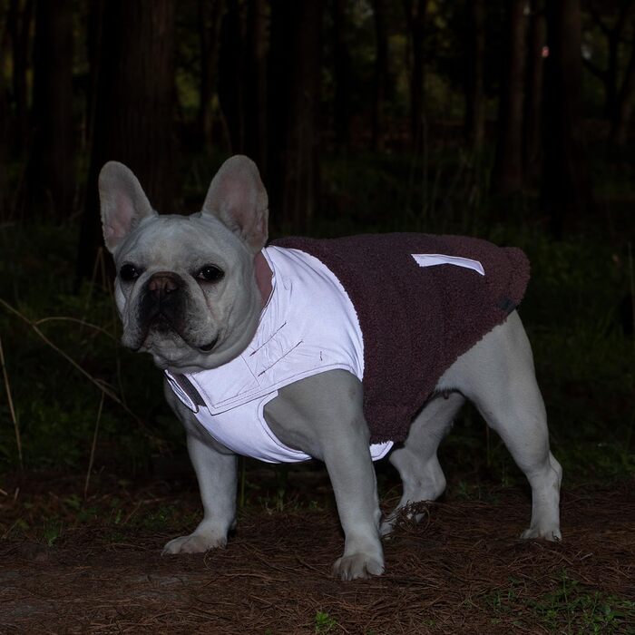 Зимовий теплий жилет для собак, фліс, зручний, регульований, водо- та вітронепроникний, з шлейкою, для маленьких/середніх собак (Рожевий, XL(Обхват грудей 42см))