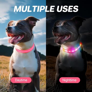 Світлодіодна нашийник для собак Feycig з USB-зарядкою, водонепроникний, регульований, 3 режими, для малих, середніх та великих собак (світлороже, S(28-40см))