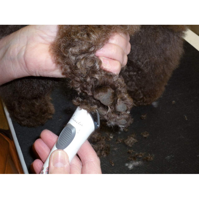 Машинка для стрижки собак Aesculap Exacta Rotschopf24, насадка 3-6 мм, акумулятор Li-Ion, сумка Rotschopf24 43528