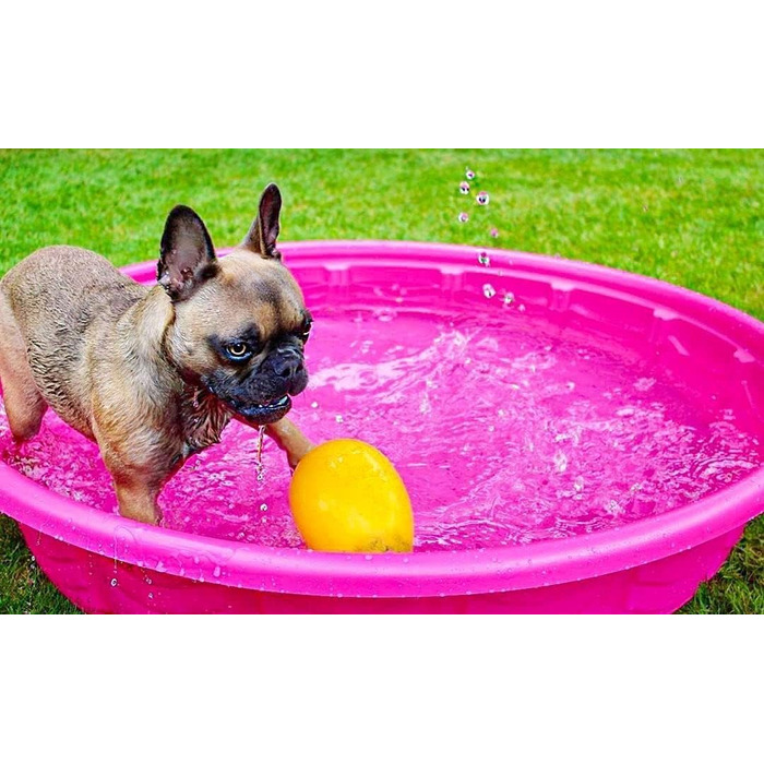 Іграшка для собак Jolly Pets Egg, 20 см, жовта, L/XL