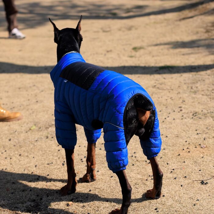 Водонепроникний теплий одяг для собак - куртка, жилет, одяг для маленьких, середніх та великих собак. Колір: синій, розмір L