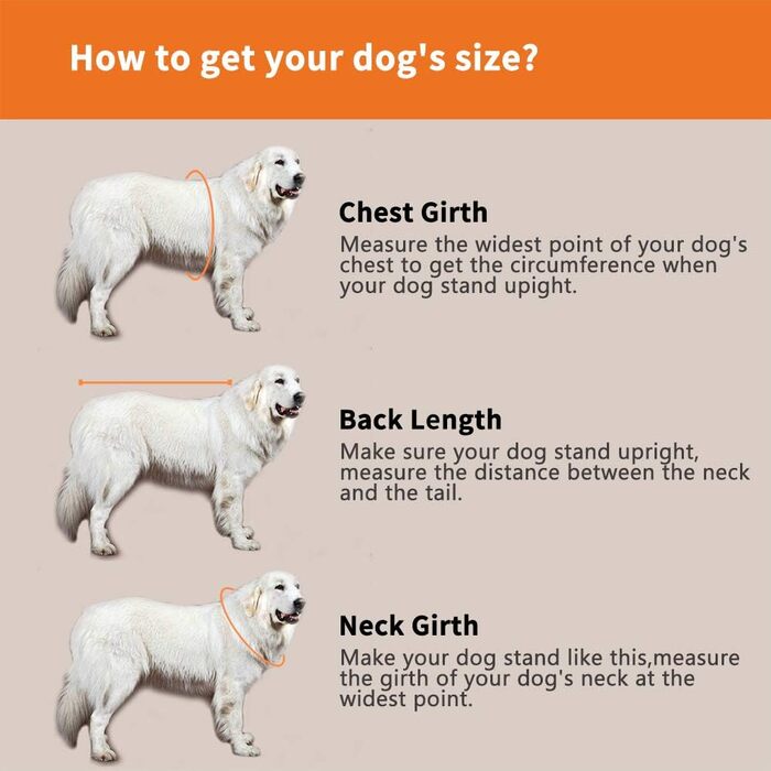 Світшот для собак Snik-S: жилет для плавання з регульованим ремінцем, для собак з короткою мордою (Мопс, Бульдог, Бультер'єр, Чихуахуа), помаранчевий, Medium