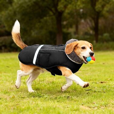 Зимова куртка для собак Awettermante з світловідбиваючими деталями, тепла флісова, для активних прогулянок на вулиці (Purpe, L, Чорний)