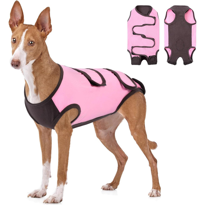 Піжама для собак після операції ASENKU: захист від лизання, альтернатива конусу, рожева, M